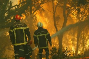 Fires: six months later