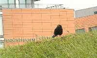 Clearstream