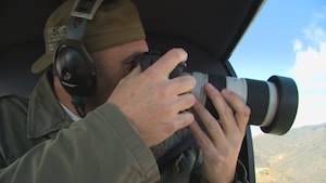 PROFESSION: PAPARAZZI