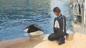 DIVE BEHIND THE SCENES AT MARINELAND