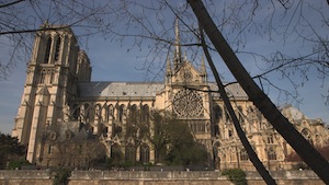 In the shadow of the towers of Notre Dame