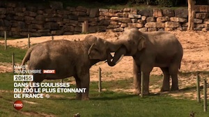 The PAL zoo: behind the scenes in the most amazing zoo in France