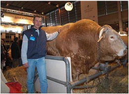 Behind the scenes at the Agricultural show