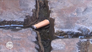 Anti-incivility brigade : where they pass