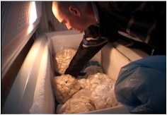 An investigation into the back kitchens of the chinese restaurants