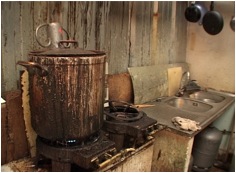 Food safety. Investigation in the back-kitchens in France