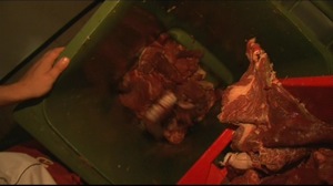 Wasted Food: a dive into our trashcans