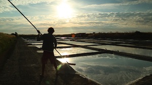 A YEAR ON THE ILE DE RE