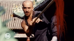 The killer Kung Fu master