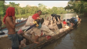 Panama: business in the jungle