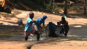 Surinam: for a fistful of gold