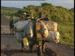 Scooters in the Congo