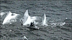 Crime on the High Seas