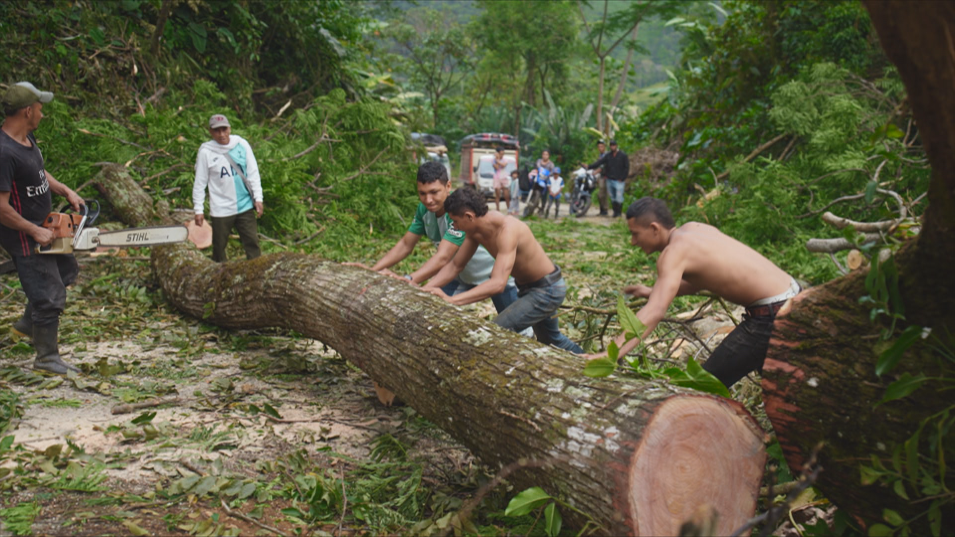 COLOMBIE, CONQUETE D’UNE NOUVELLE VIE